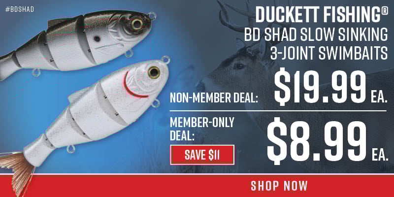BD Shad Swimbaits - MF